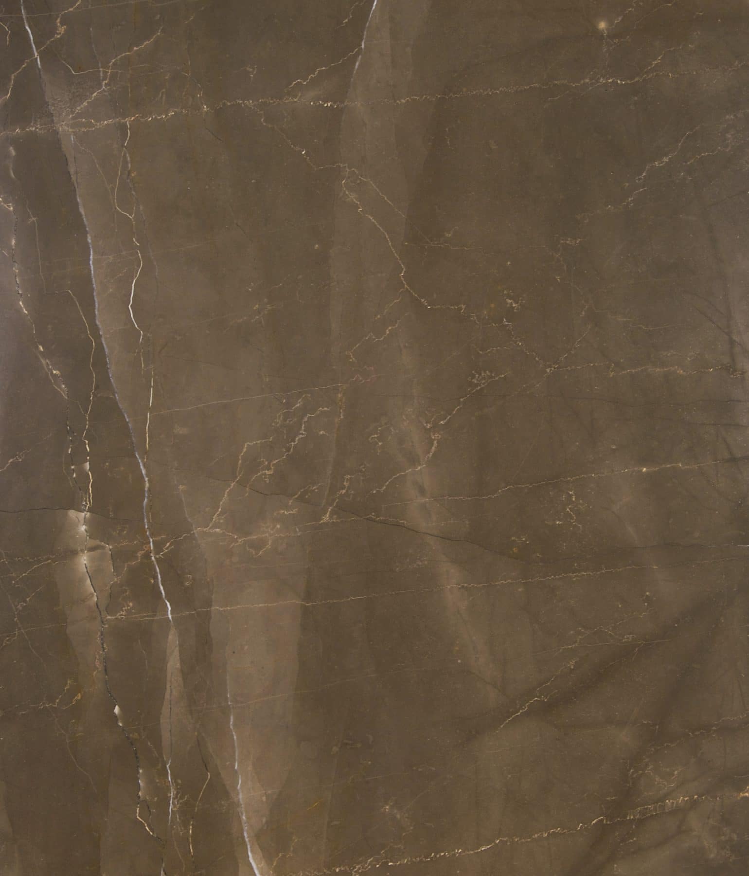 Taupe Palacio - Marble